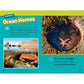 In the Ocean (National Geographic Kids Readers, Level 1/Co-Reader) (National Geographic Kids Readers) (Spiral Bound)