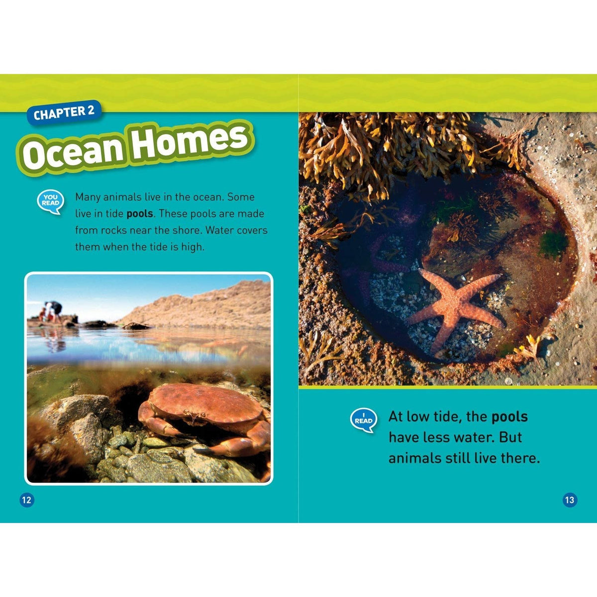 In the Ocean (National Geographic Kids Readers, Level 1/Co-Reader) (National Geographic Kids Readers) (Spiral Bound)
