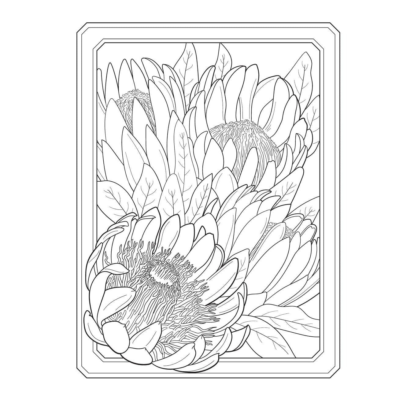 Creative Haven Flowers of the World Coloring Book