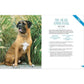 Home Cooking for Your Dog: 75 Holistic Recipes for a Healthier Dog