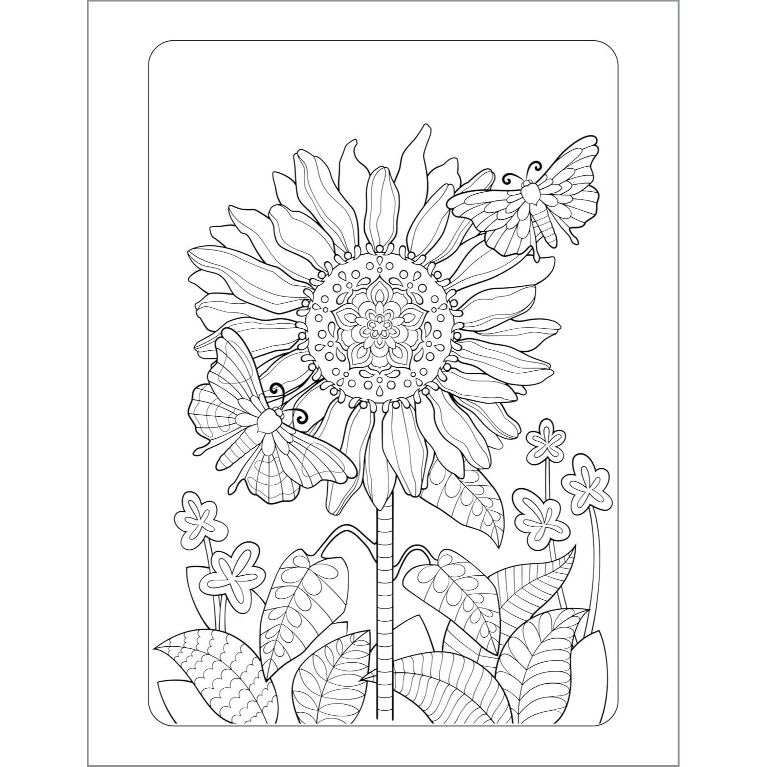 Anxiety Relief Coloring Book for Adults: Mindfulness Coloring to Soothe Anxiety (Spiral Bound)