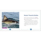 My First Book of Sharks: All about the Largest Fish in the Sea for Kids
