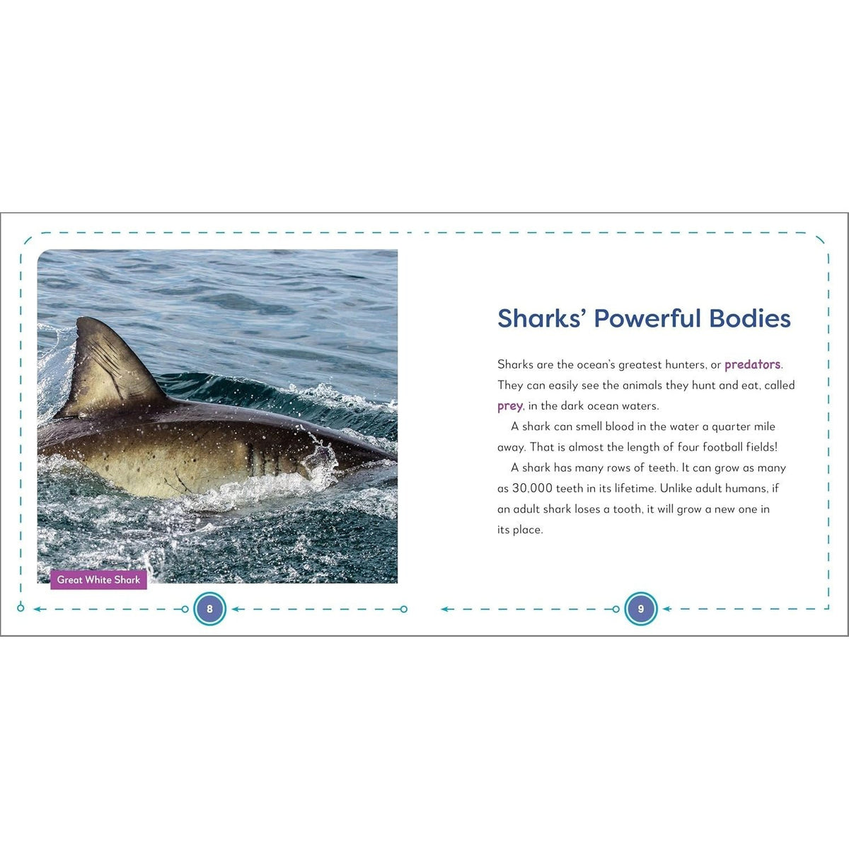 My First Book of Sharks: All about the Largest Fish in the Sea for Kids