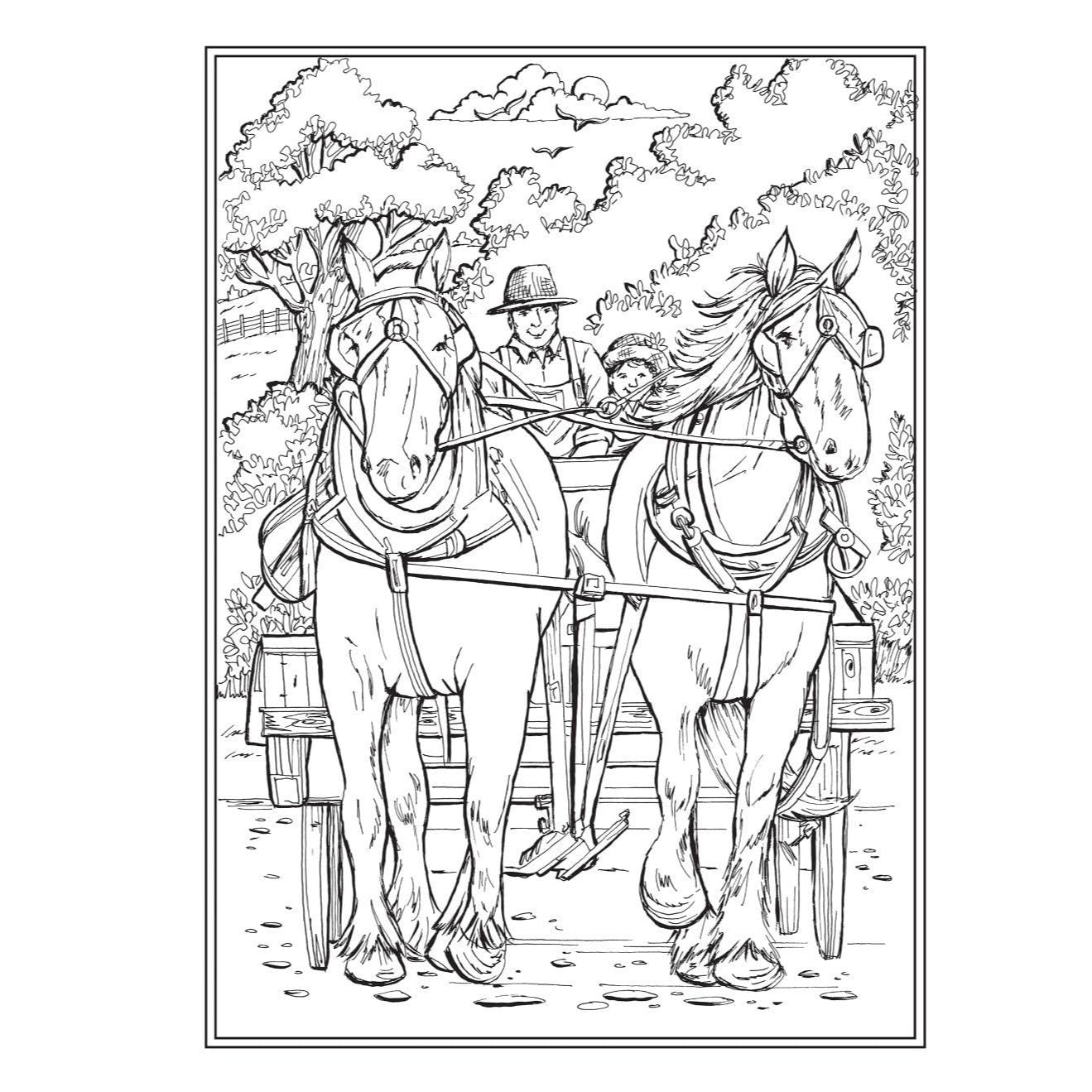 Creative Haven Country Charm Coloring Book