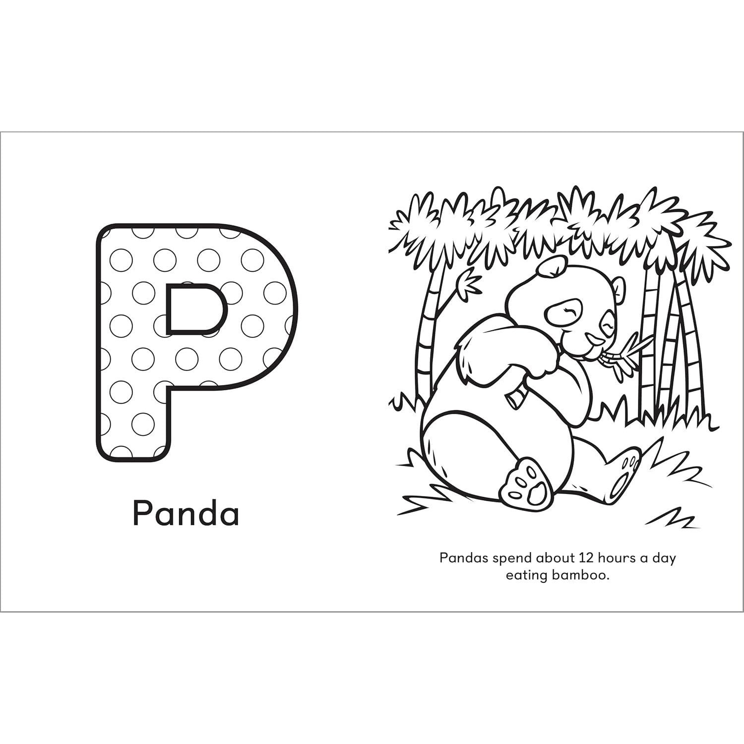A is for Animals!: Preschool Coloring Book (Spiral Bound)