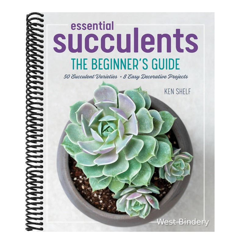 Essential Succulents: The Beginner's Guide