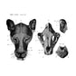 An Atlas of Animal Anatomy for Artists