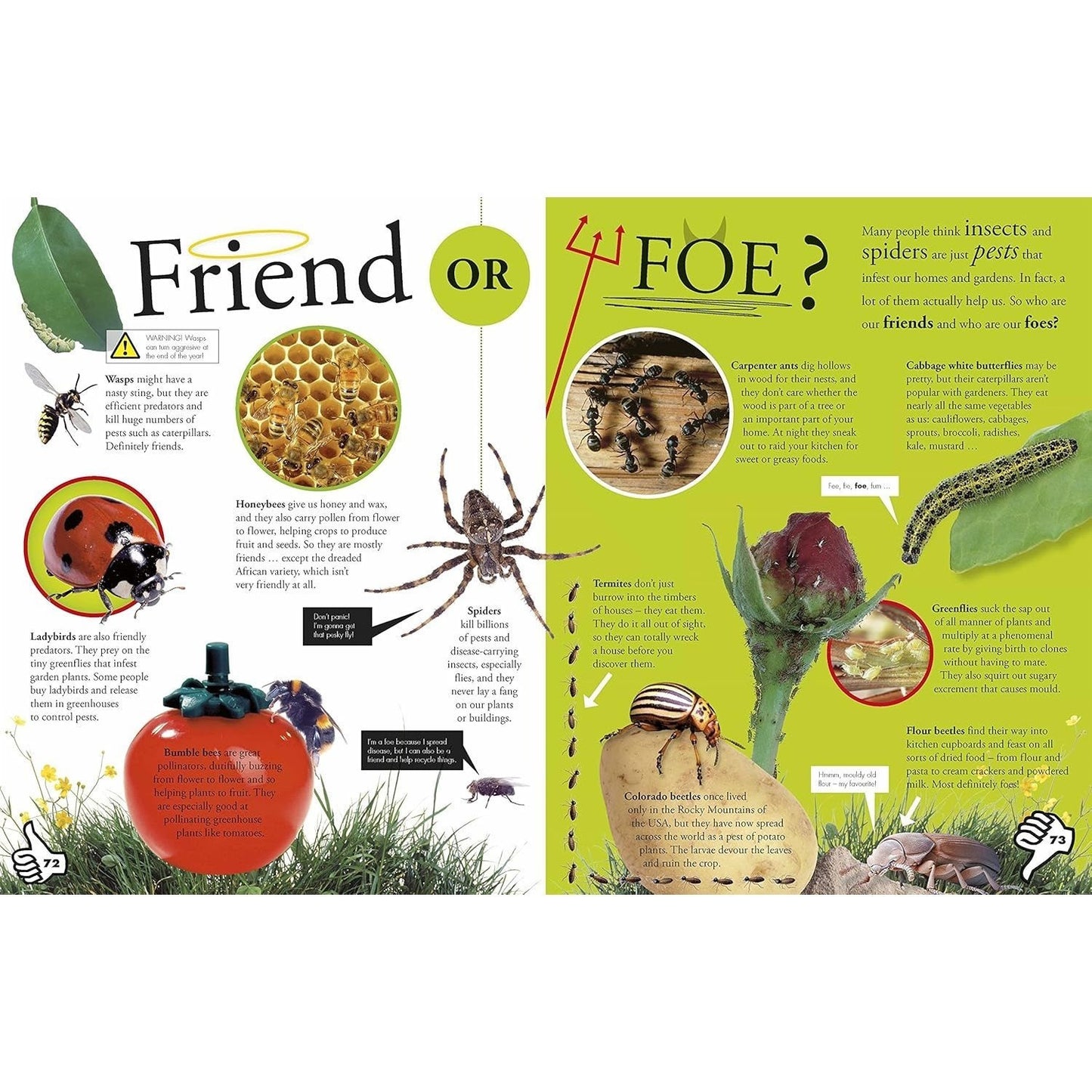 Everything You Need to Know about Bugs (Everything You Need to Know) (Spiral Bound)