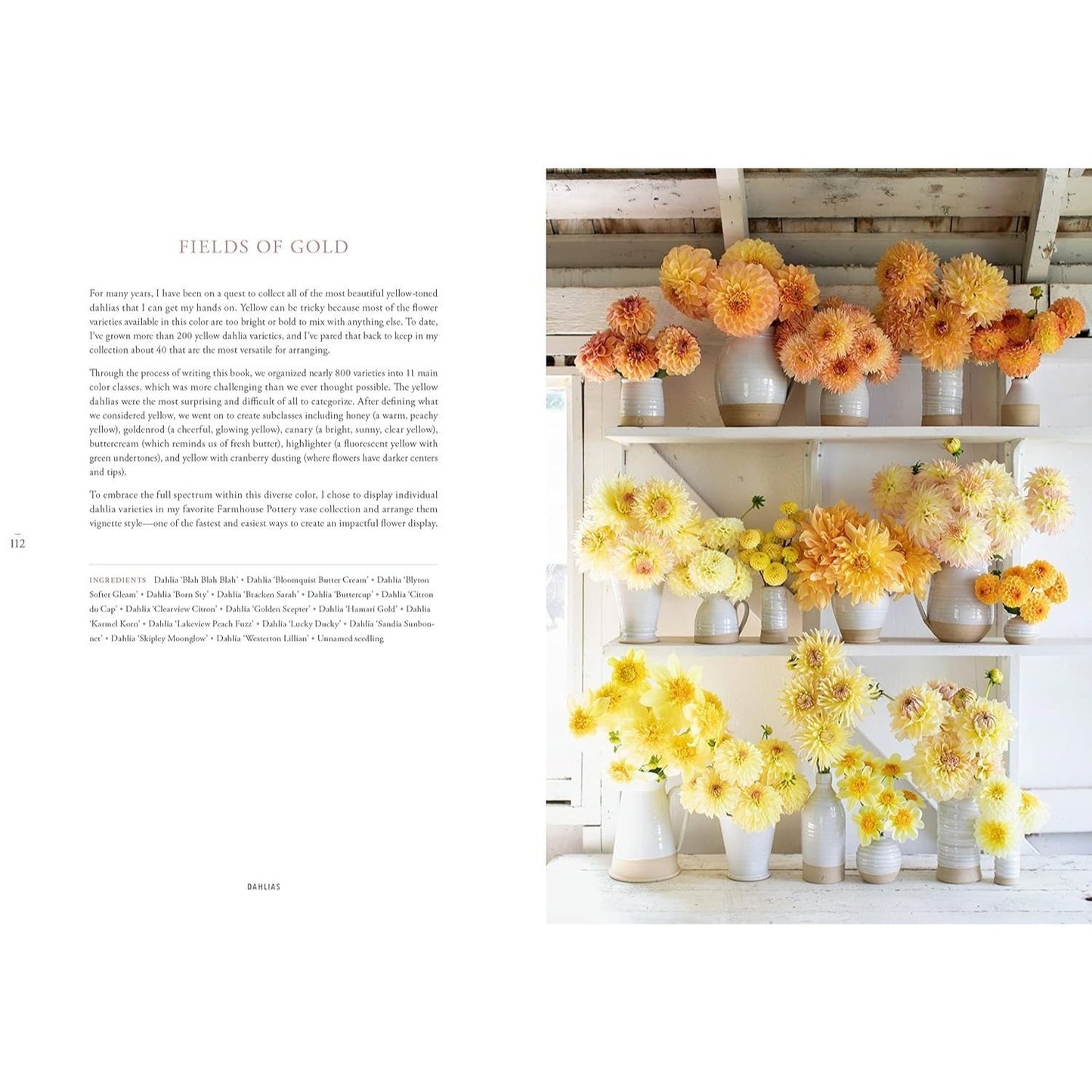 Floret Farm's Discovering Dahlias: A Guide to Growing and Arranging Magnificent Blooms