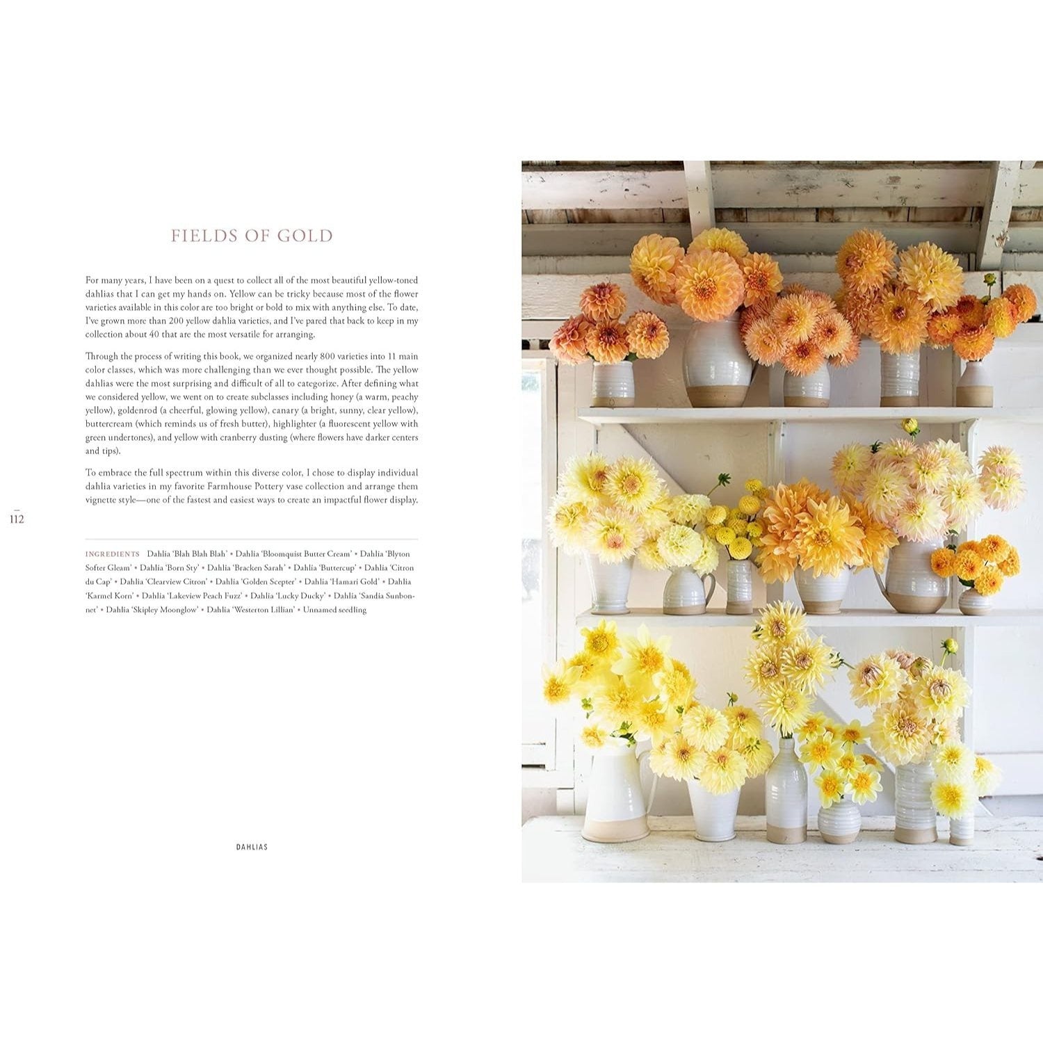 Floret Farm's Discovering Dahlias: A Guide to Growing and Arranging Magnificent Blooms
