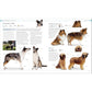 The Dog Encyclopedia: The Definitive Visual Guide (DK Pet Encyclopedias) (2ND ed.) (Spiral Bound)