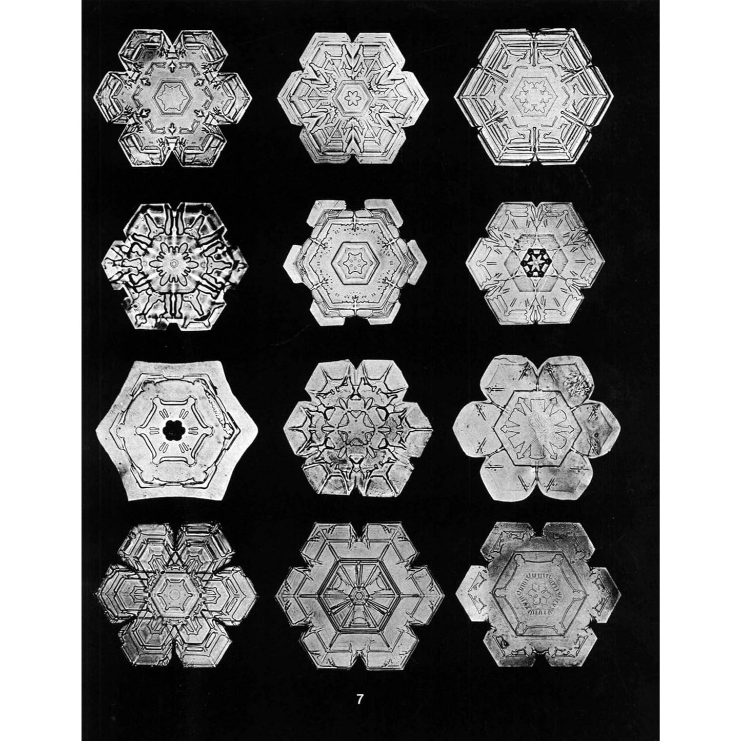 Snowflakes in Photographs