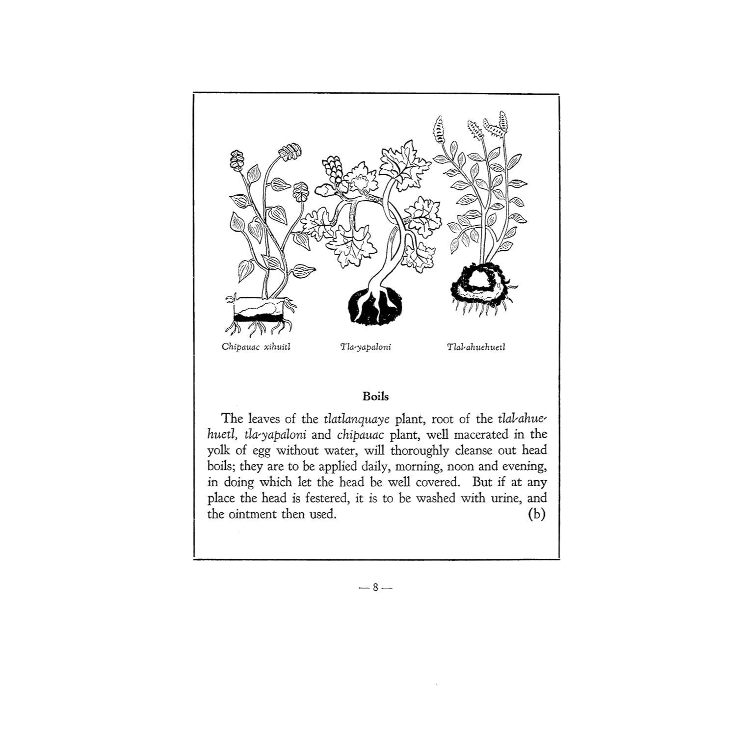 An Aztec Herbal: The Classic Codex of 1552