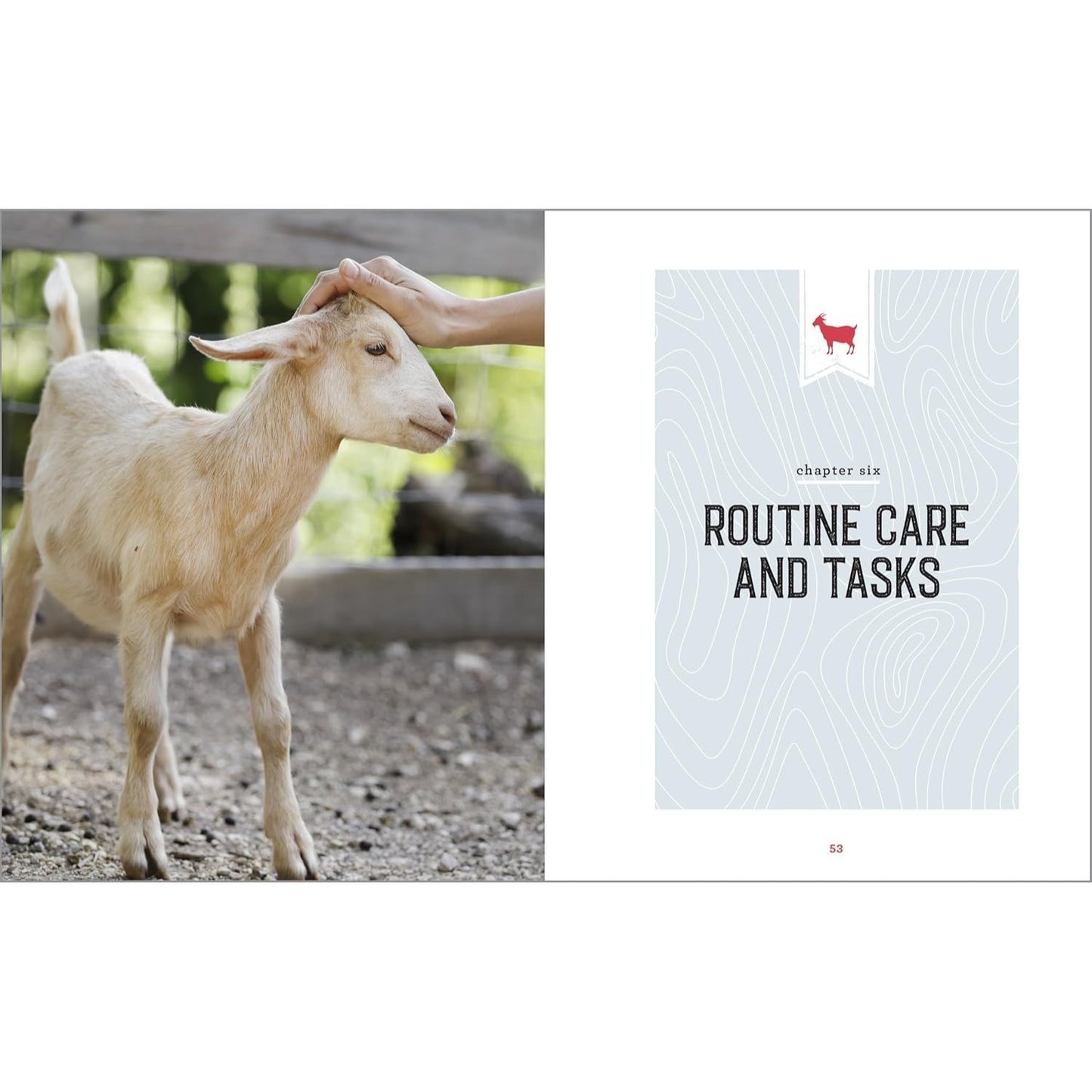 The Beginner's Guide to Raising Goats: How to Keep a Happy Herd