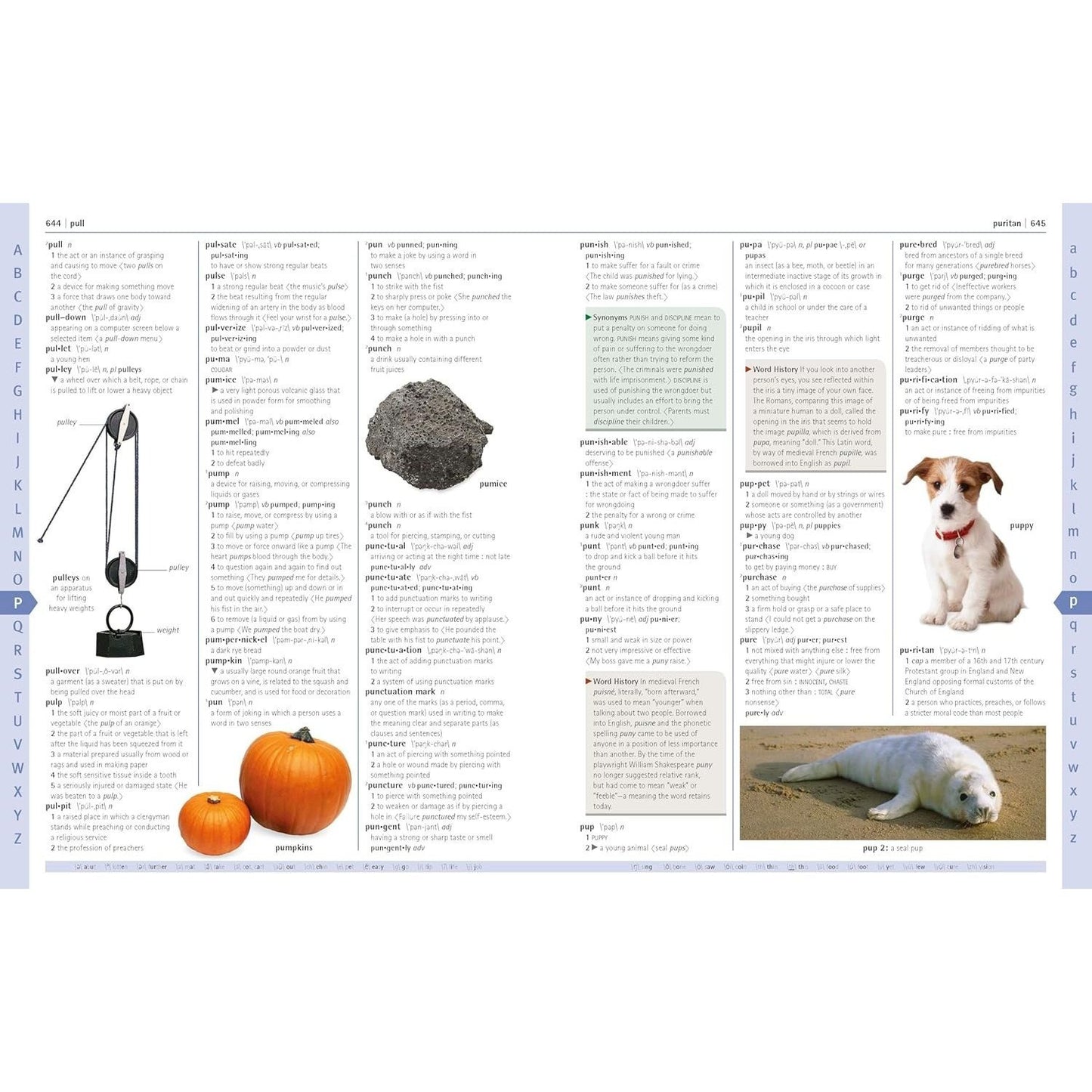 Merriam-Webster Children's Dictionary, New Edition: Features 3,000 Photographs and Illustrations (Spiral Bound)