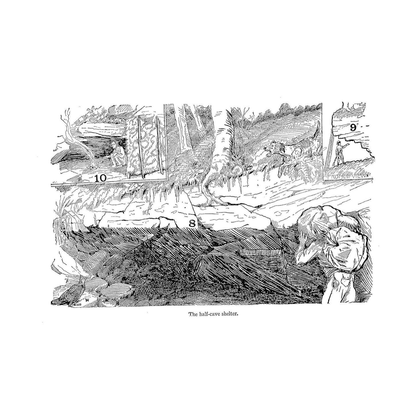 Shelters, Shacks, and Shanties: The Classic Guide to Building Wilderness Shelters