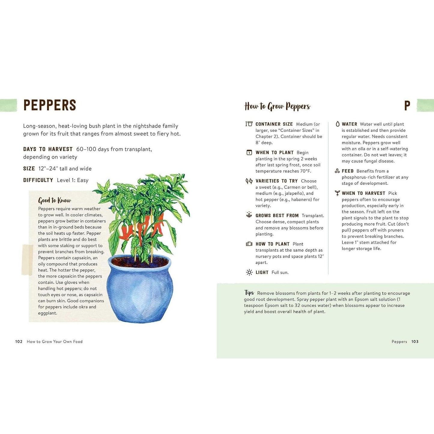 How to Grow Your Own Food: An Illustrated Beginner's Guide to Container Gardening