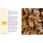 Beekeeping for Beginners: How to Raise Your First Bee Colonies (Spiral Bound)