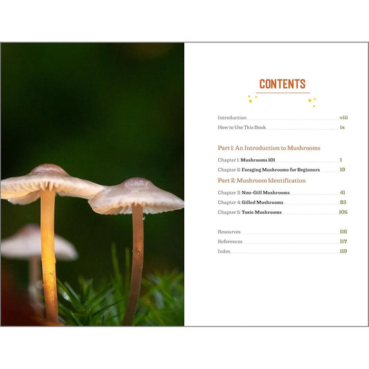 Beginner's Guide to Safely Foraging for Wild Mushrooms: Identifying and Collecting Mushrooms Sustainably with Confidence