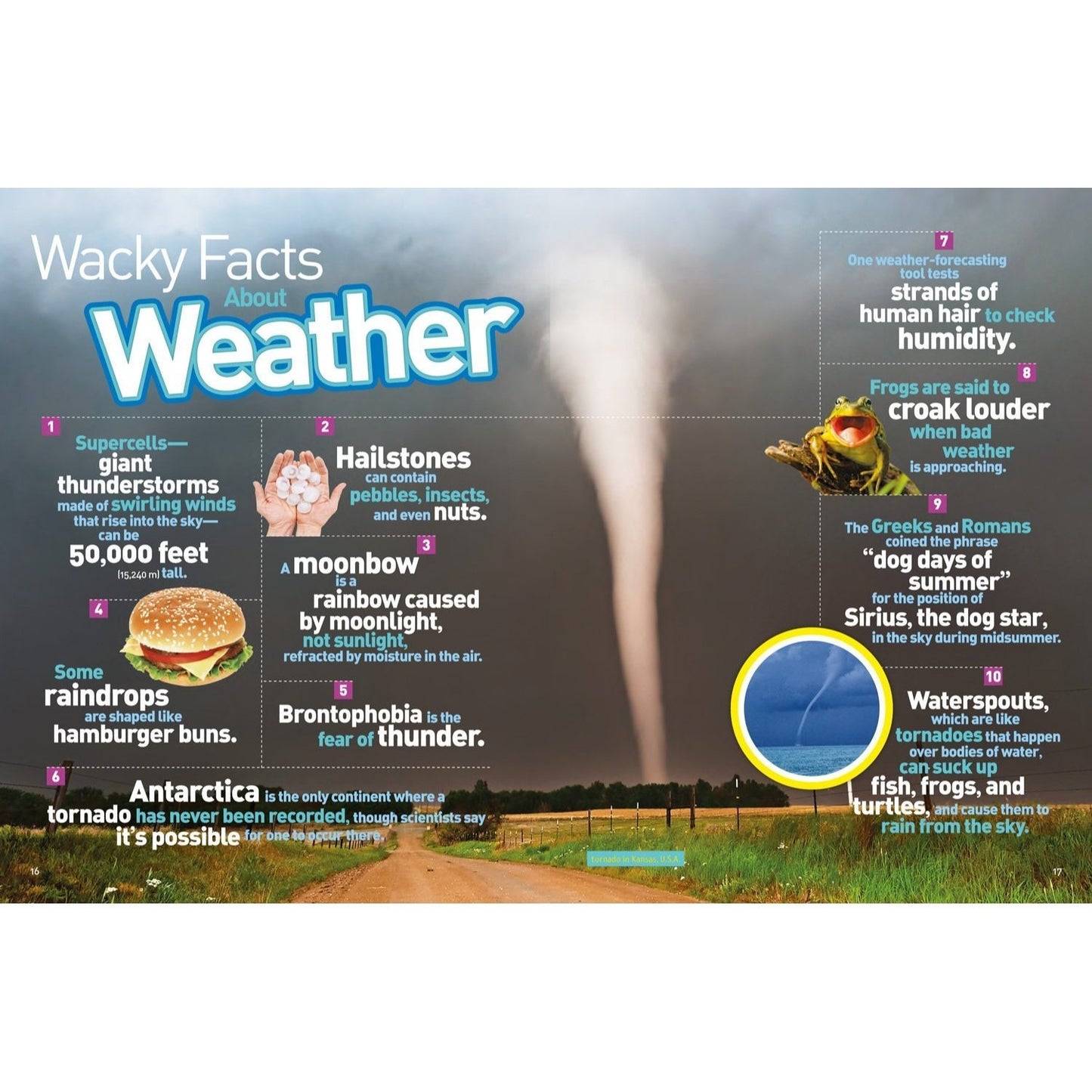 Bet You Didn't Know: Fascinating, Far-Out, Fun-Tastic Facts! (Bet You Didn't Know) (Spiral Bound)
