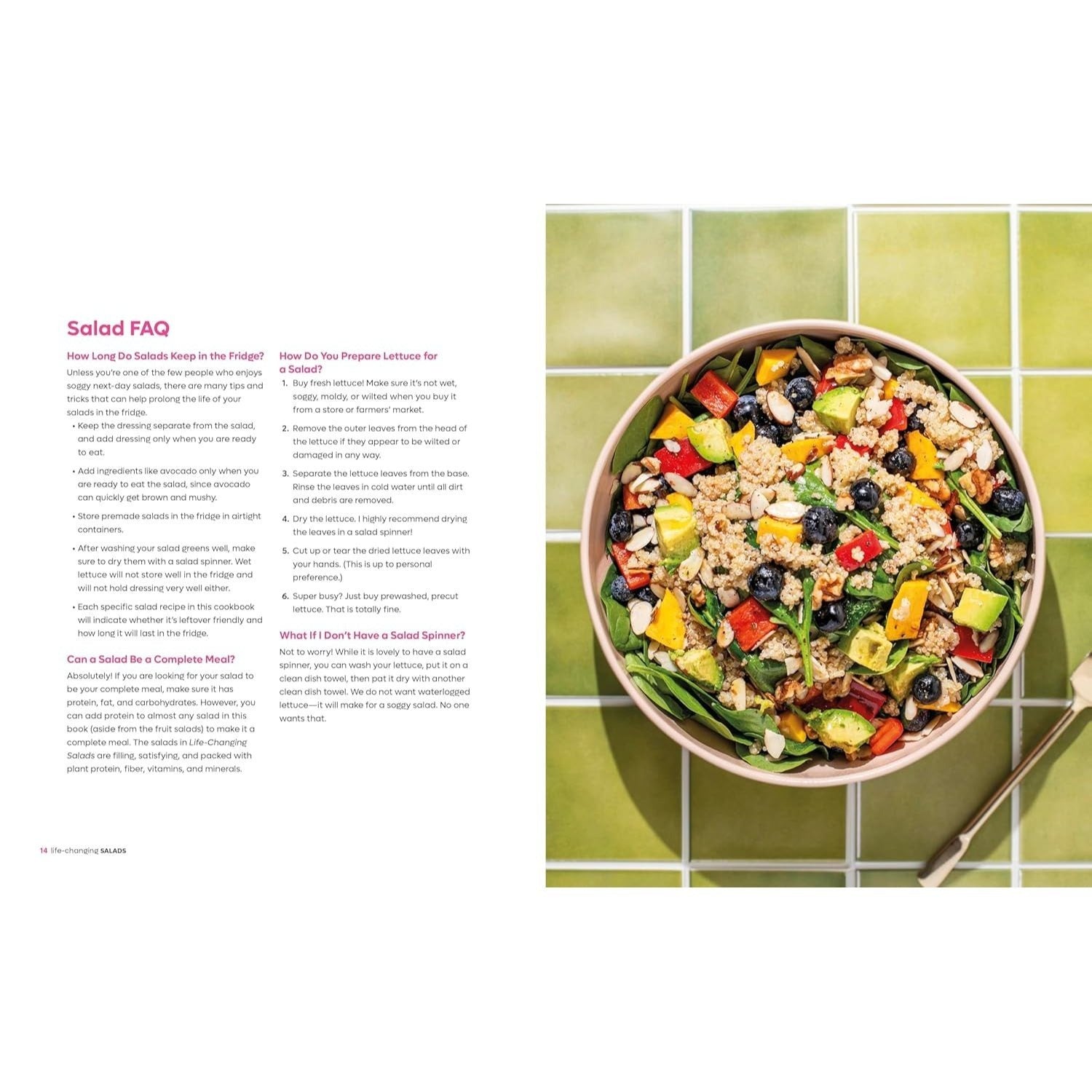 Life-Changing Salads: 100 Plant-Based Salads and Dressings Beyond Your Wildest Greens (Healthygirl Kitchen) (Spiral Bound)