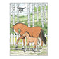 Creative Haven Great Horses Coloring Book