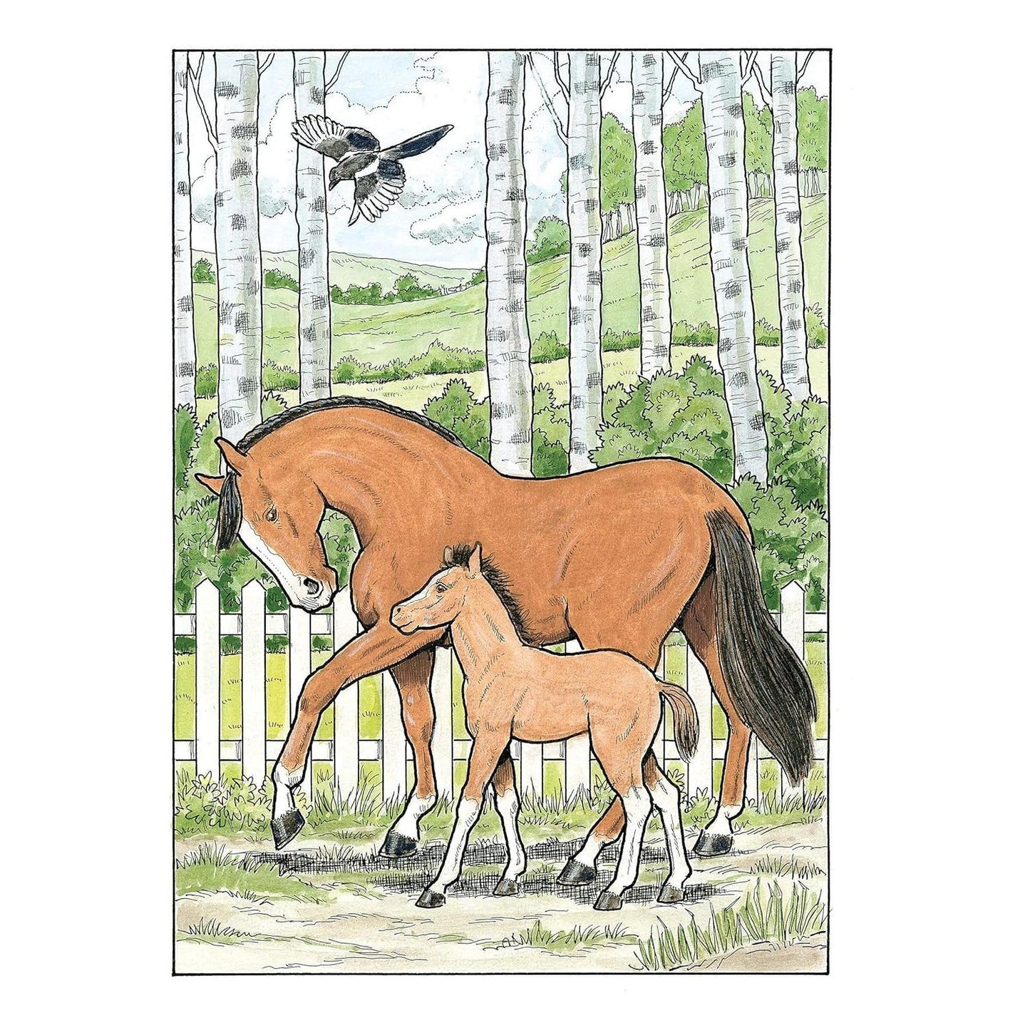 Creative Haven Great Horses Coloring Book