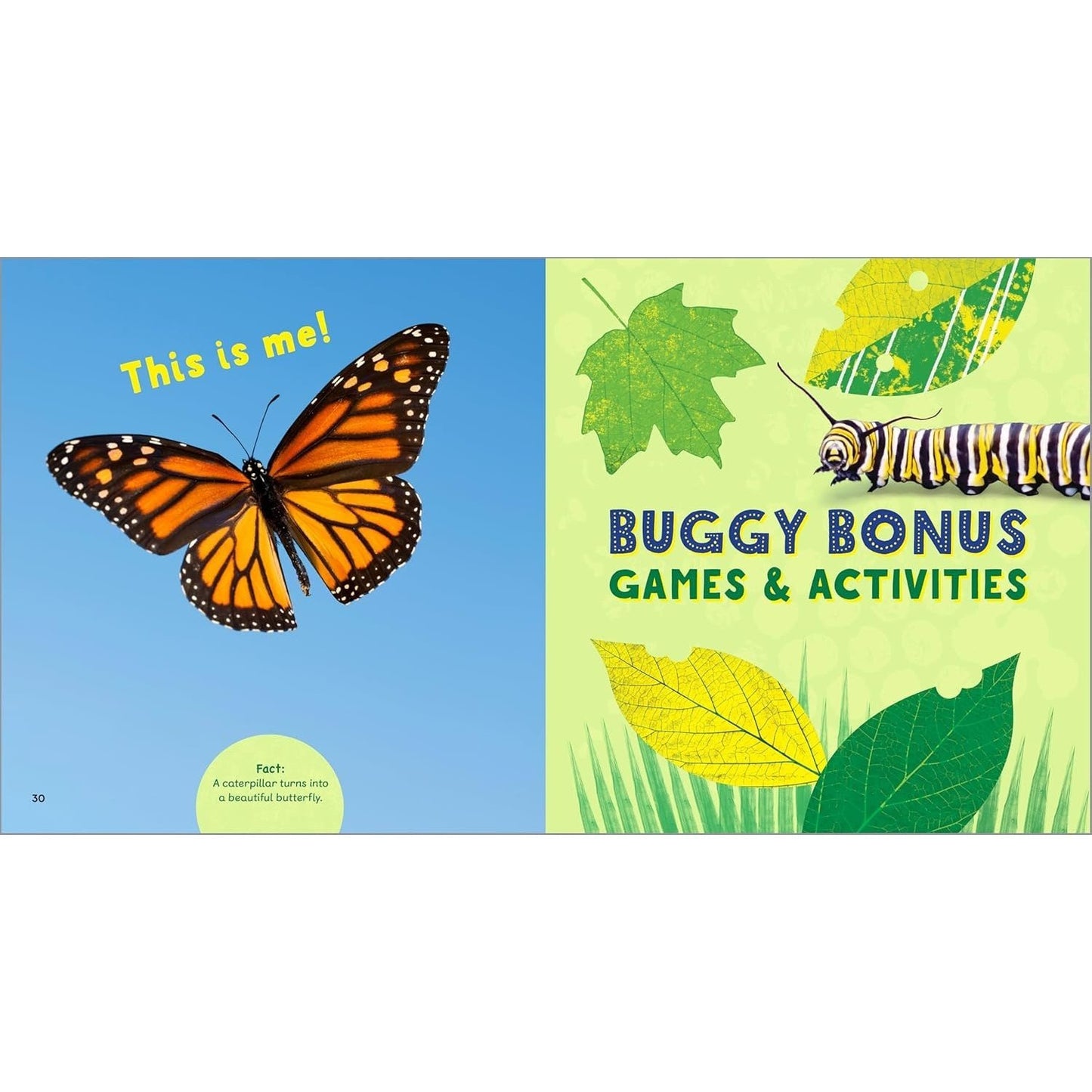 The Backyard Bug Book for Kids: Storybook, Insect Facts, and Activities (Let's Learn about Bugs and Animals) (Spiral Bound)
