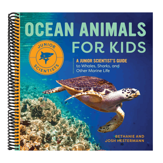Ocean Animals for Kids: A Junior Scientist's Guide to Whales, Sharks, and Other Marine Life (Junior Scientists)