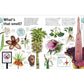 Trees, Leaves, Flowers and Seeds: A Visual Encyclopedia of the Plant Kingdom (DK Our World in Pictures) (Spiral Bound)