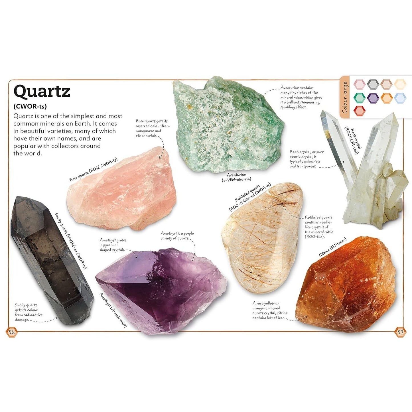 My Book of Rocks and Minerals: Things to Find, Collect, and Treasure (My Book of) (Spiral Bound)