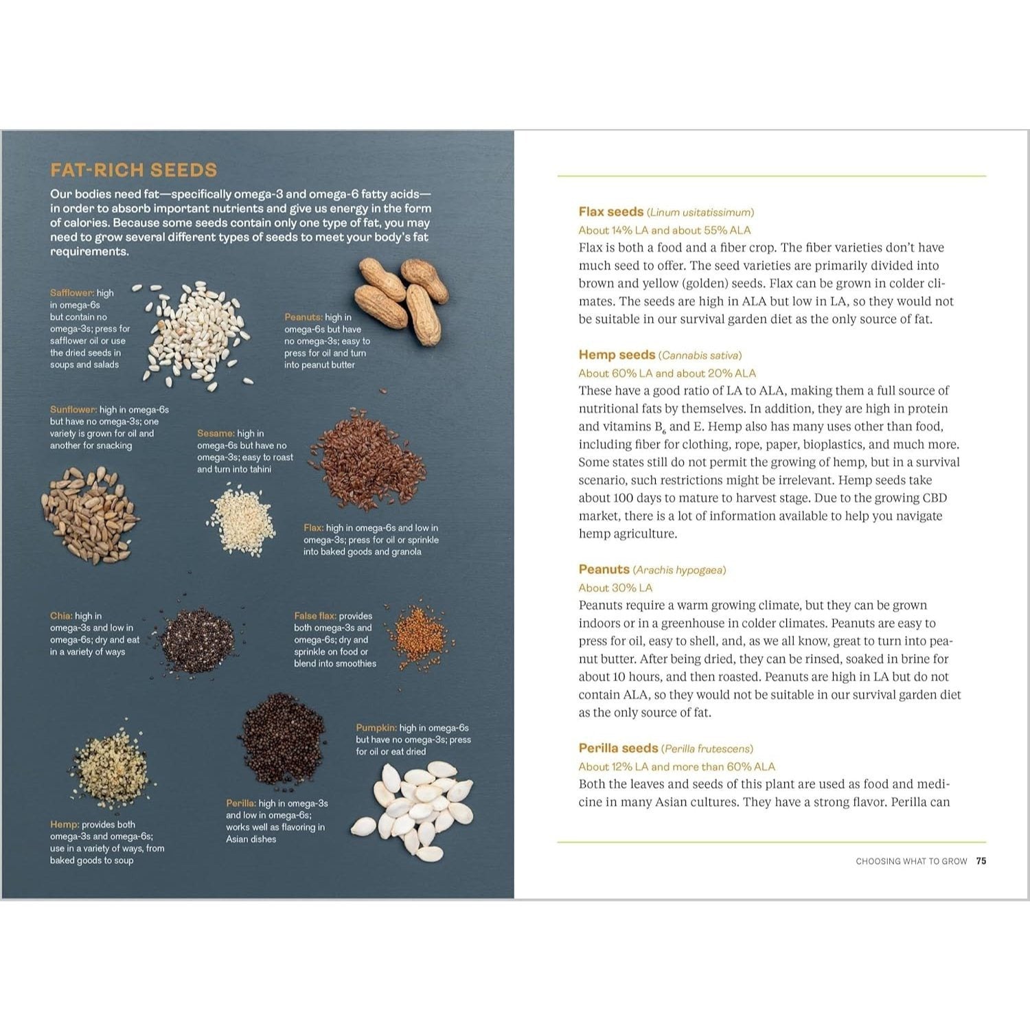Survival Gardening: Grow Your Own Emergency Food Supply, from Seed to Root Cellar