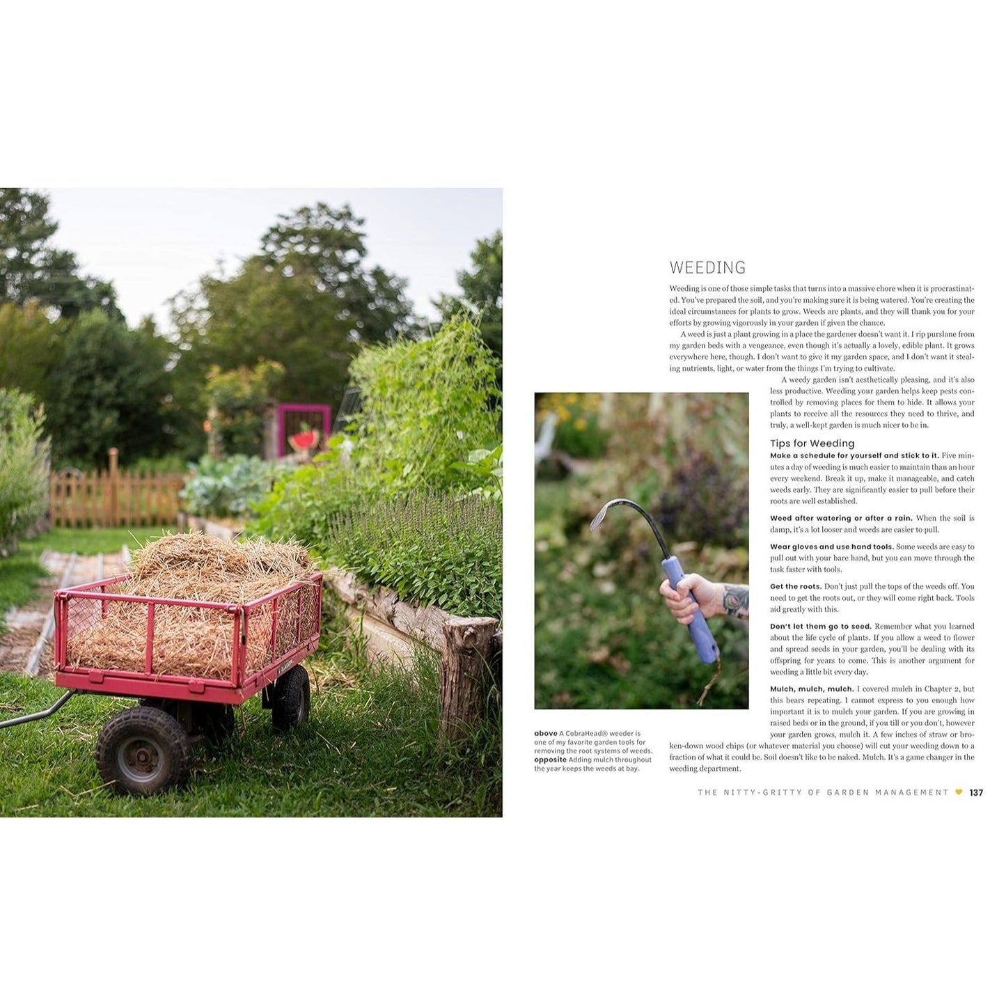 The First-Time Gardener: Growing Vegetables: All the Know-How and Encouragement You Need to Grow - And Fall in Love With! - Your Brand New Food Garden (The First-Time Gardener's Guides #1) (Spiral Bound)