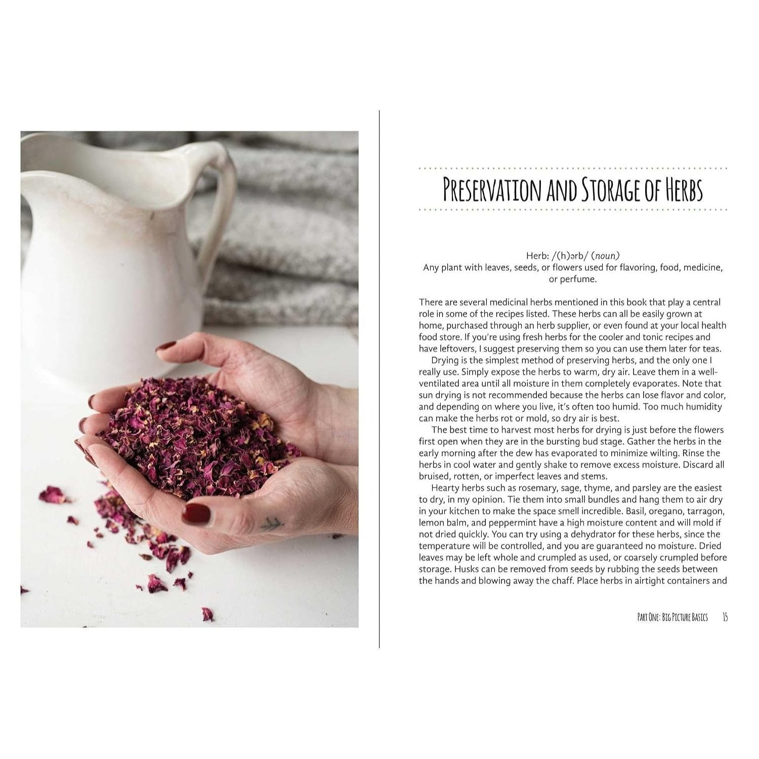 Good Living Guide to Healing Drinks: Juices, Smoothies, Broths & Herbal Teas