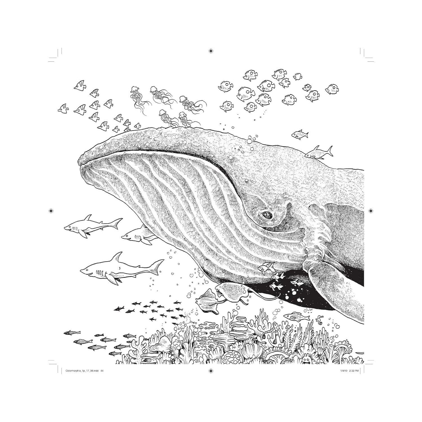 Colormorphia: Celebrating Kerby Rosanes's Coloring Challenges