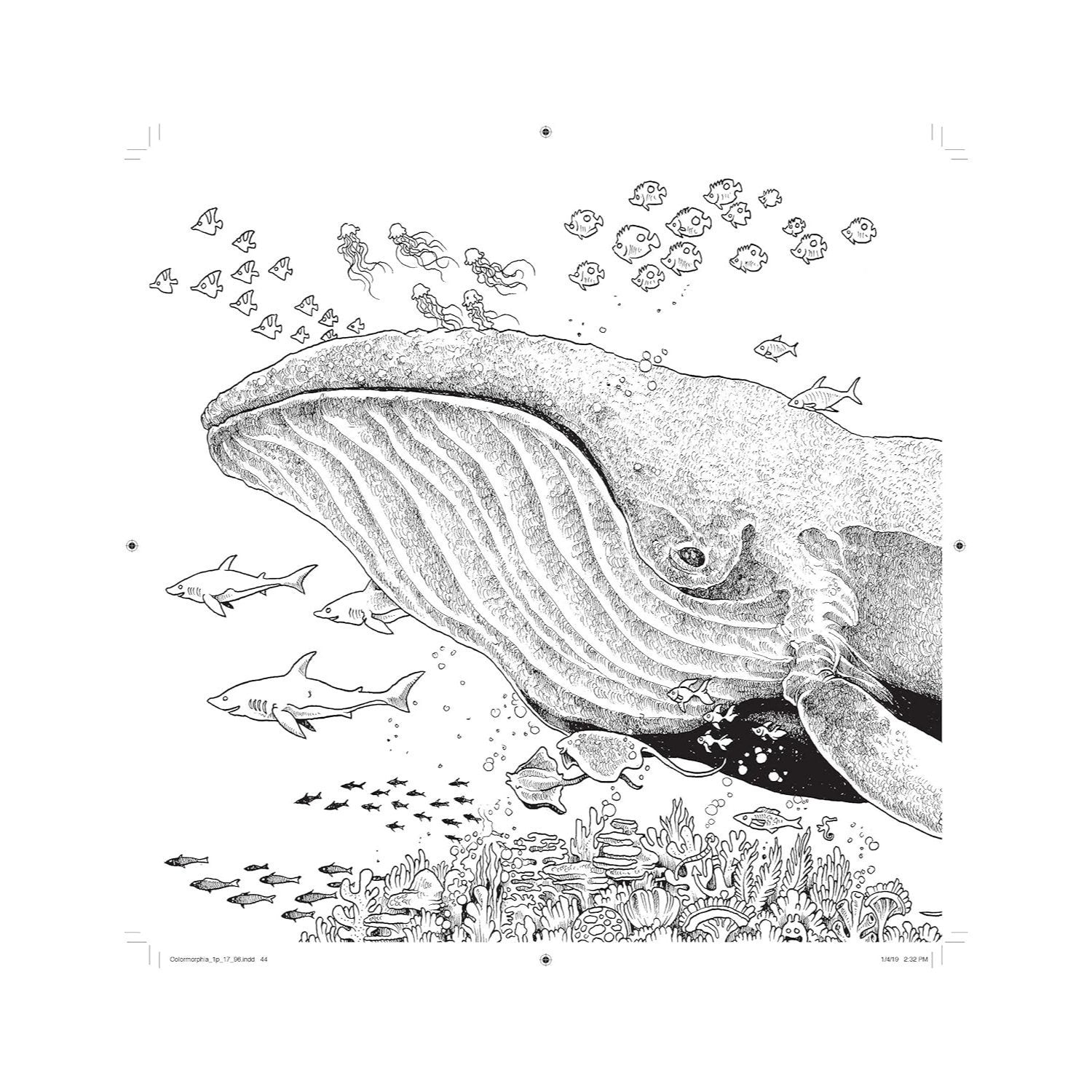 Colormorphia: Celebrating Kerby Rosanes's Coloring Challenges