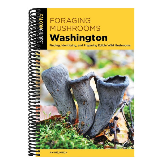 Foraging Mushrooms Washington
