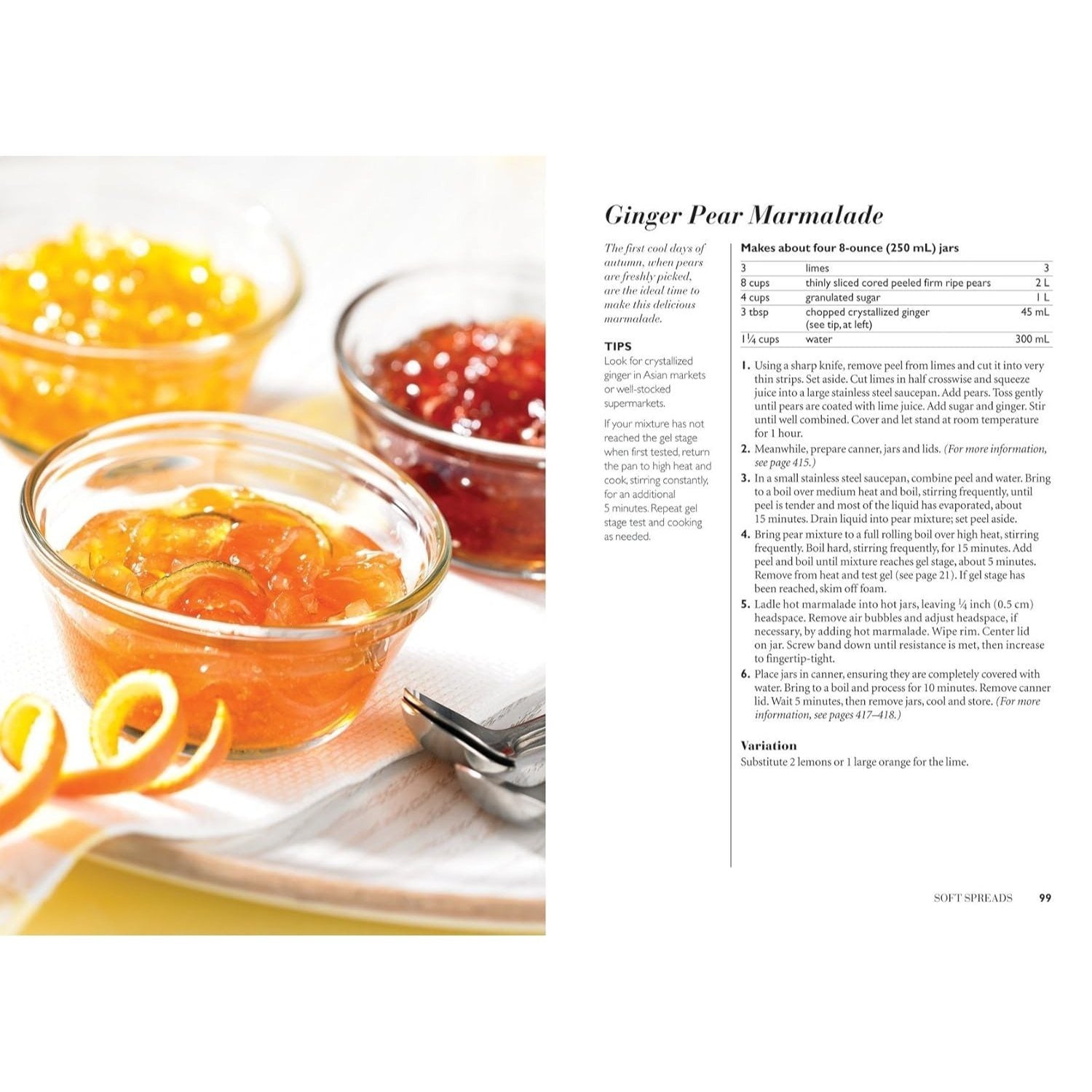 Complete Book of Home Preserving: 400 Delicious and Creative Recipes for Today (New and Updated)