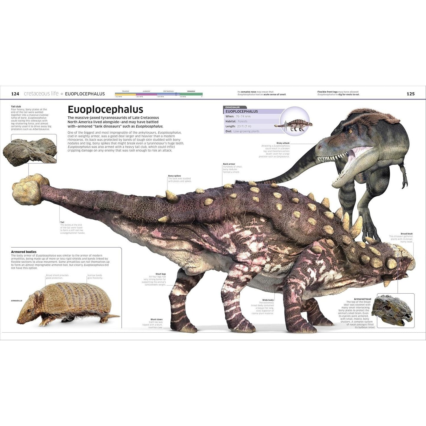 Knowledge Encyclopedia Dinosaur! (DK Knowledge Encyclopedias) (Spiral Bound)