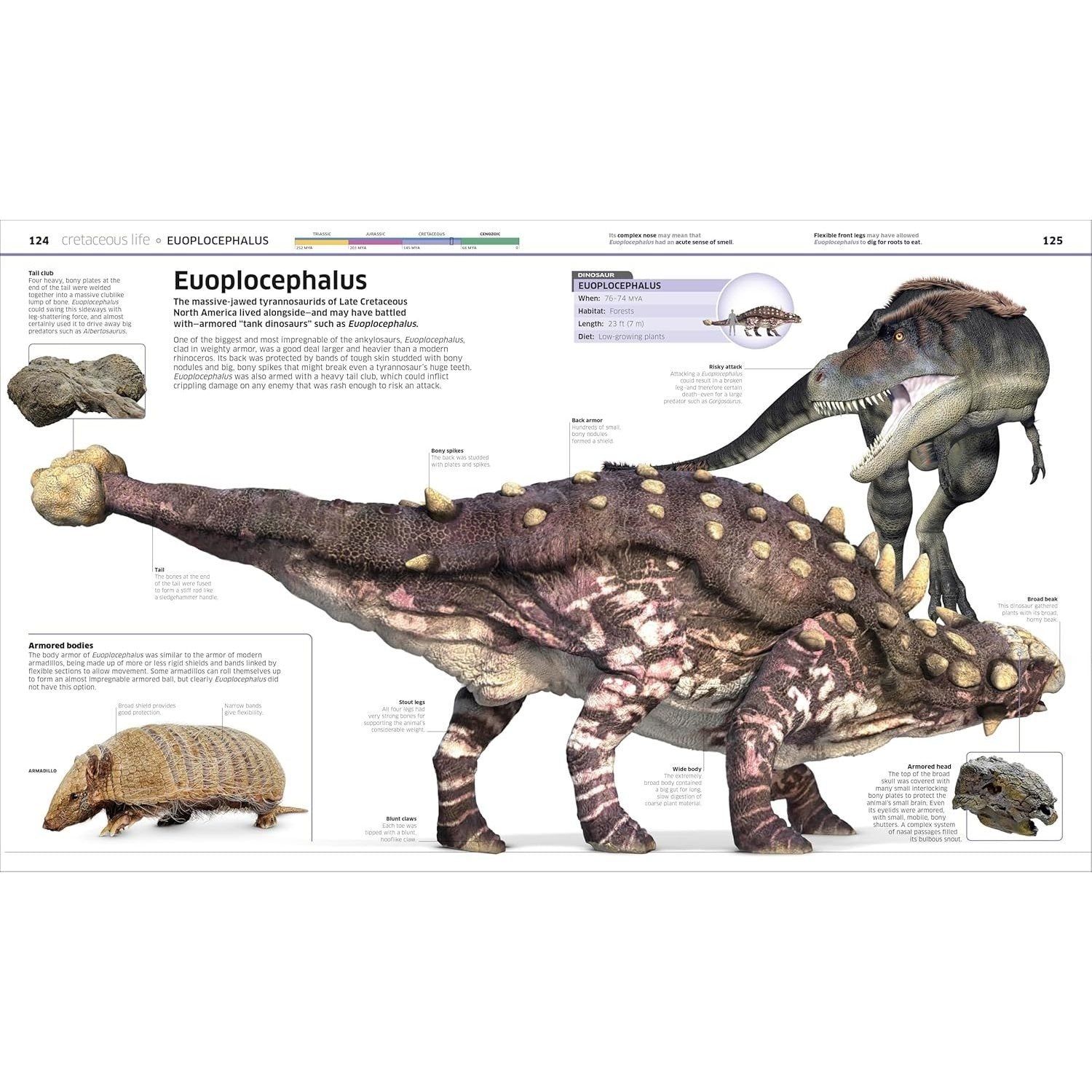 Knowledge Encyclopedia Dinosaur! (DK Knowledge Encyclopedias) (Spiral Bound)