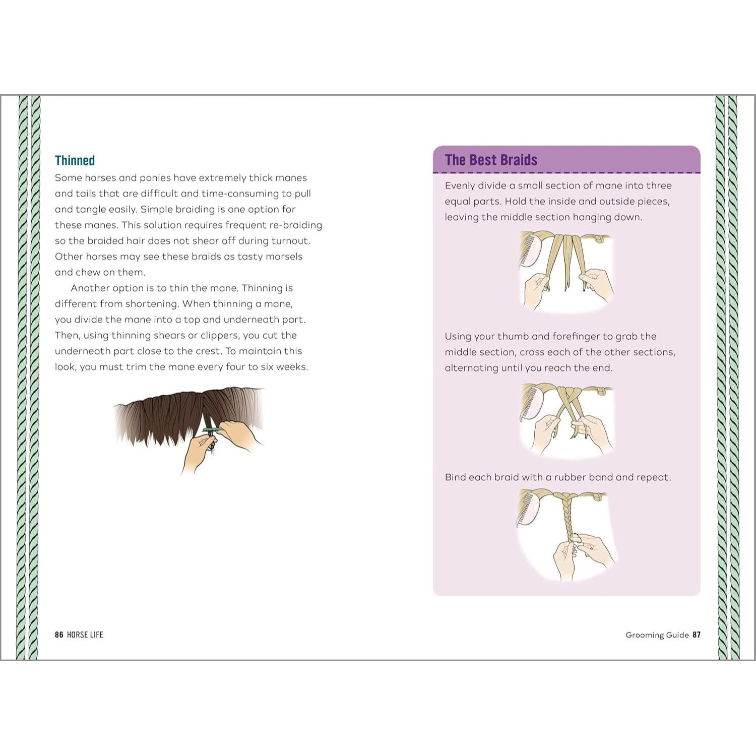 Horse Life: The Ultimate Guide to Caring for and Riding Horses for Kids