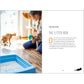 Understanding Cat Behavior: A Compassionate Guide to Training and Communication