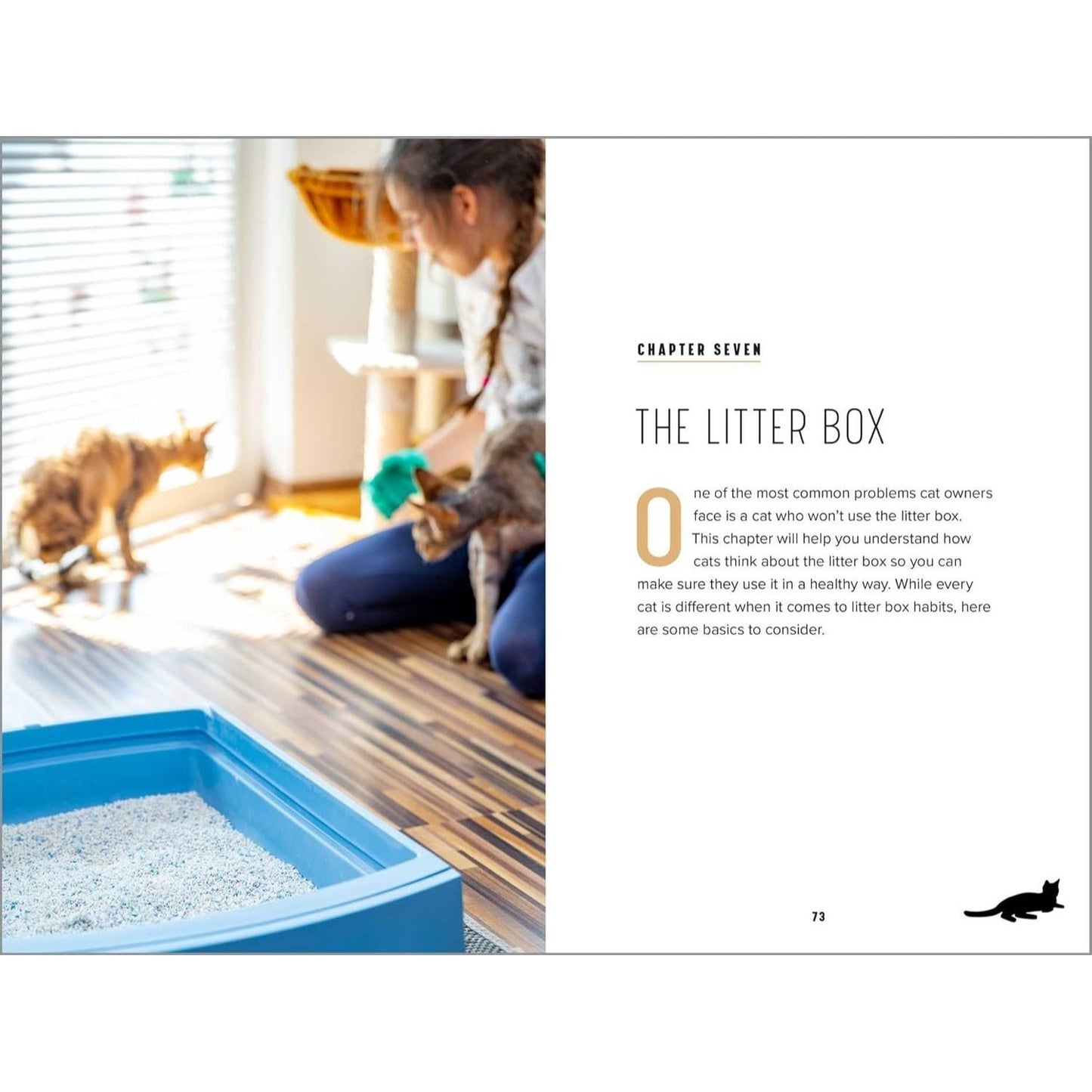 Understanding Cat Behavior: A Compassionate Guide to Training and Communication