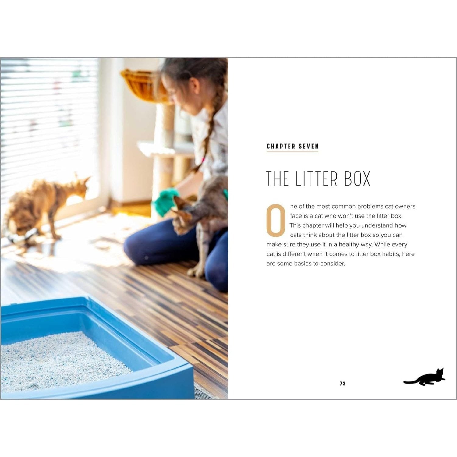 Understanding Cat Behavior: A Compassionate Guide to Training and Communication