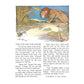 Aesop's Fables for Children