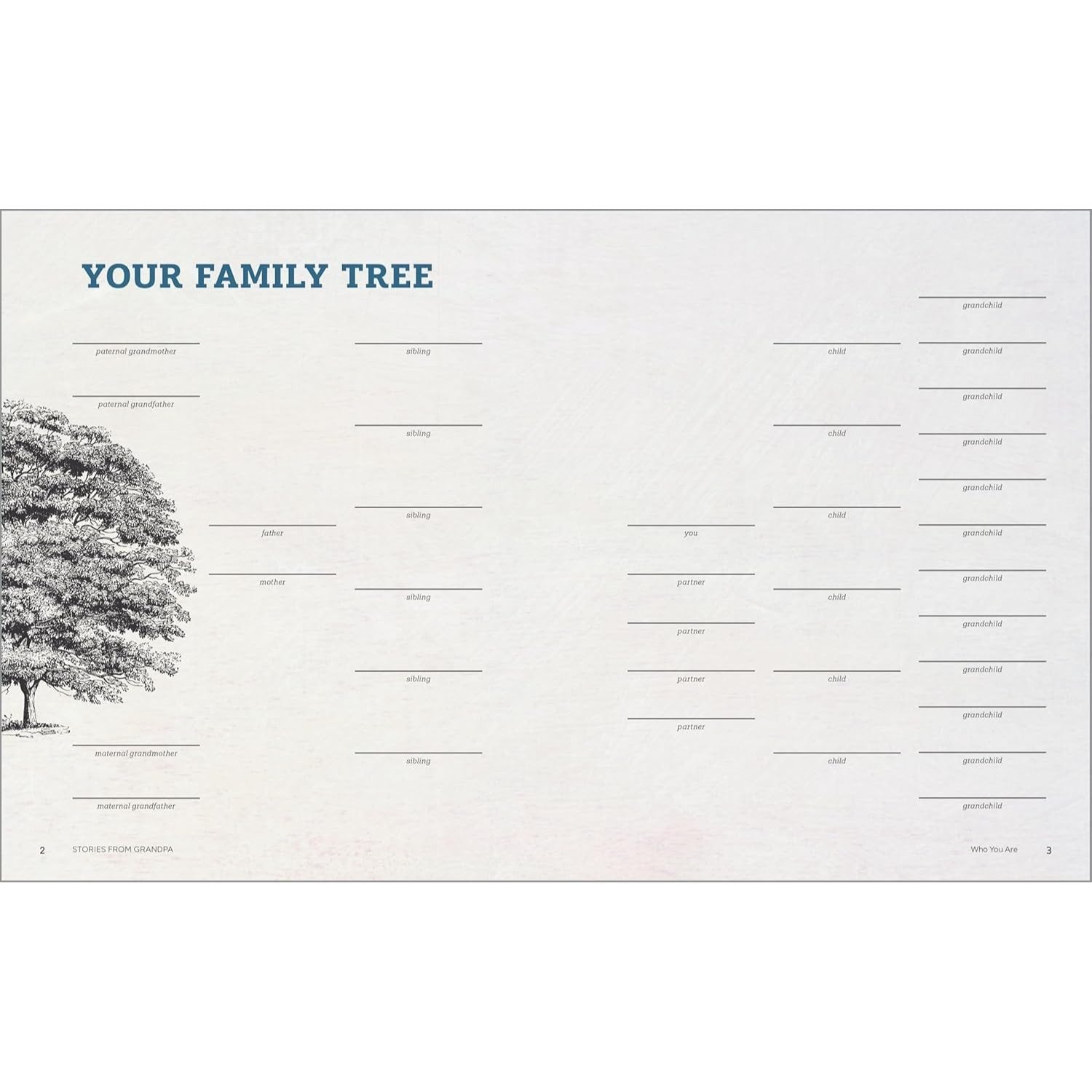 Stories from Grandpa: A Fill-In Journal and Family Keepsake