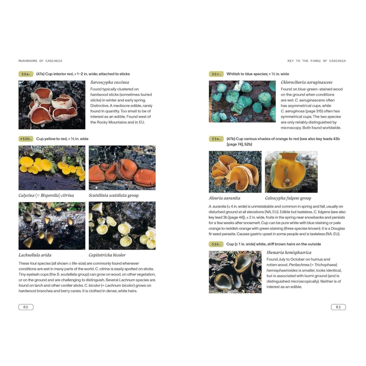 Mushrooms of Cascadia, Second Edition: An Illustrated Key to the Fungi of the Pacific Northwest