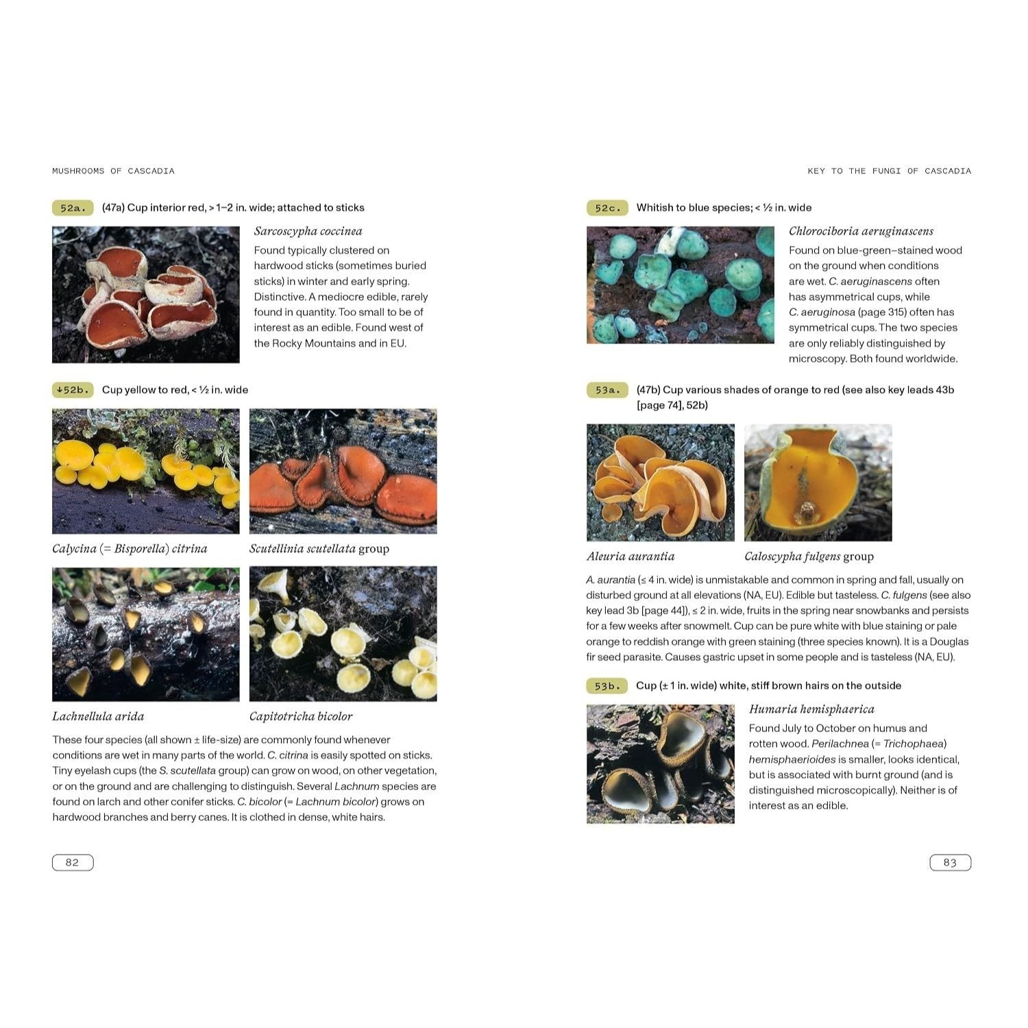 Mushrooms of Cascadia, Second Edition: An Illustrated Key to the Fungi of the Pacific Northwest