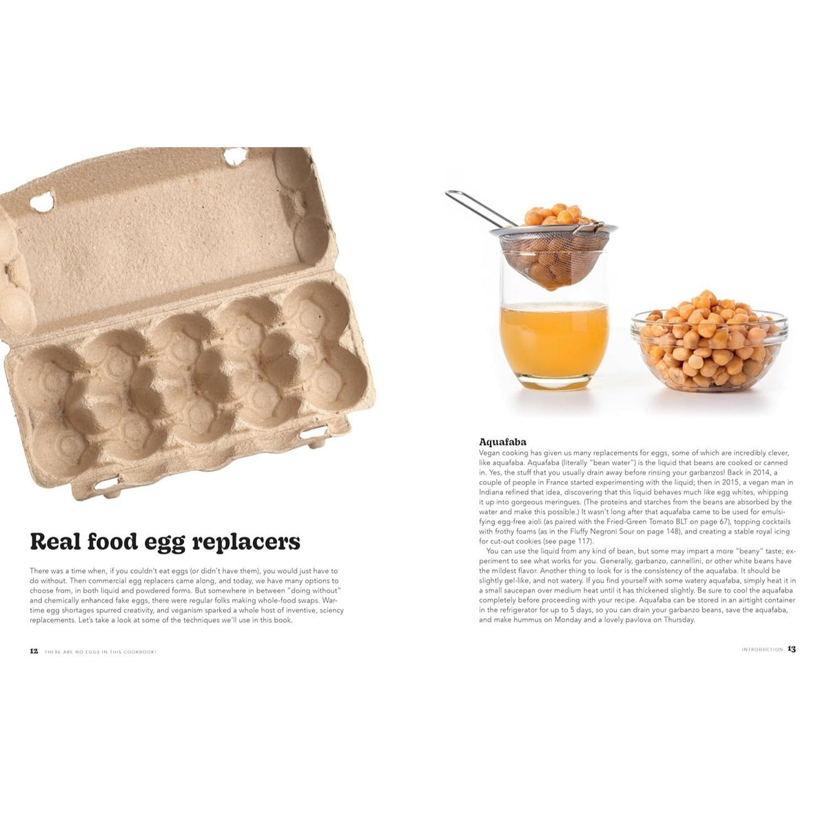 There Are No Eggs in This Cookbook!: 50 Protein-Packed Egg-Free Recipes