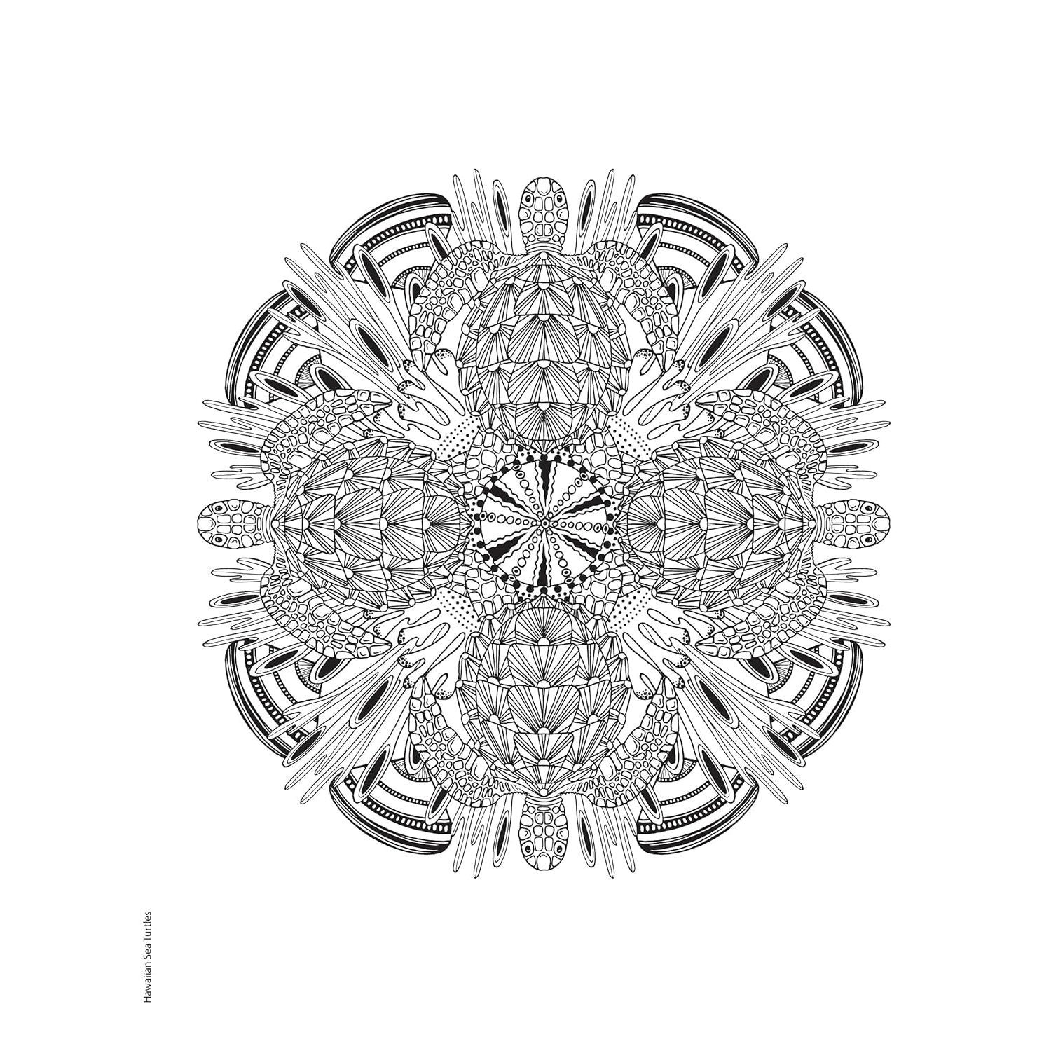 Creative Haven Stunning Sea Life Mandalas Coloring Book
